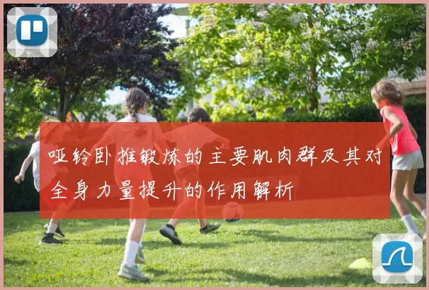 哑铃卧推锻炼的主要肌肉群及其对全身力量提升的作用解析