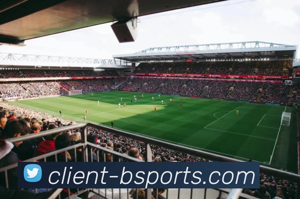 B体育平台生态图