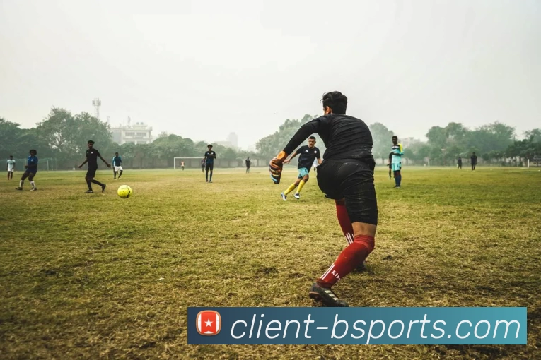 B体育APP 封面图